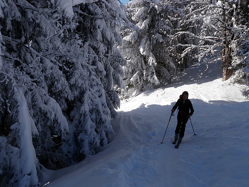 #3 babs : "j babs : "j'aime les neiges que le vent détache par petits paquets des branches des sapins et réunit à la neige avec le léger bruit d'un baiser"Erri D.L.