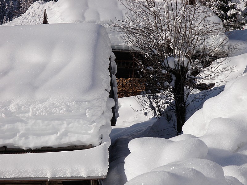 #1 en Beaufortain : gros plan en Beaufortain : gros plan