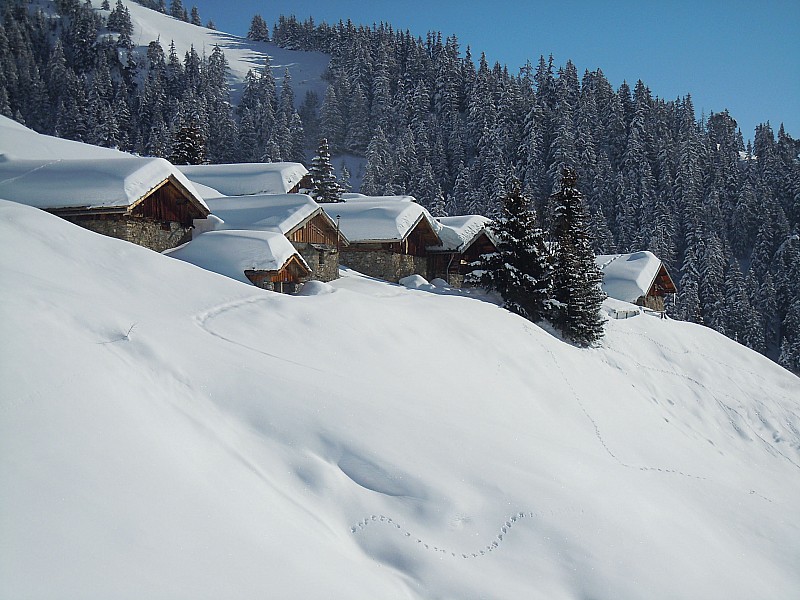 #1 Chalets de la Combe : Bien alignés plein sud, à se faire bronzer la pilule. Chalets de la Combe : Bien alignés plein sud, à se faire bronzer la pilule.