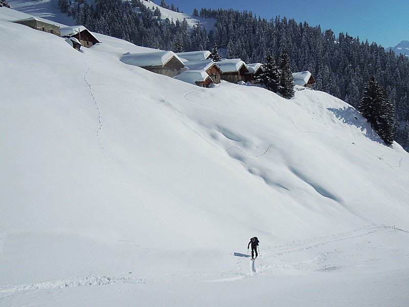 #2 La Combe : Sous l La Combe : Sous l'oeil des chalets.