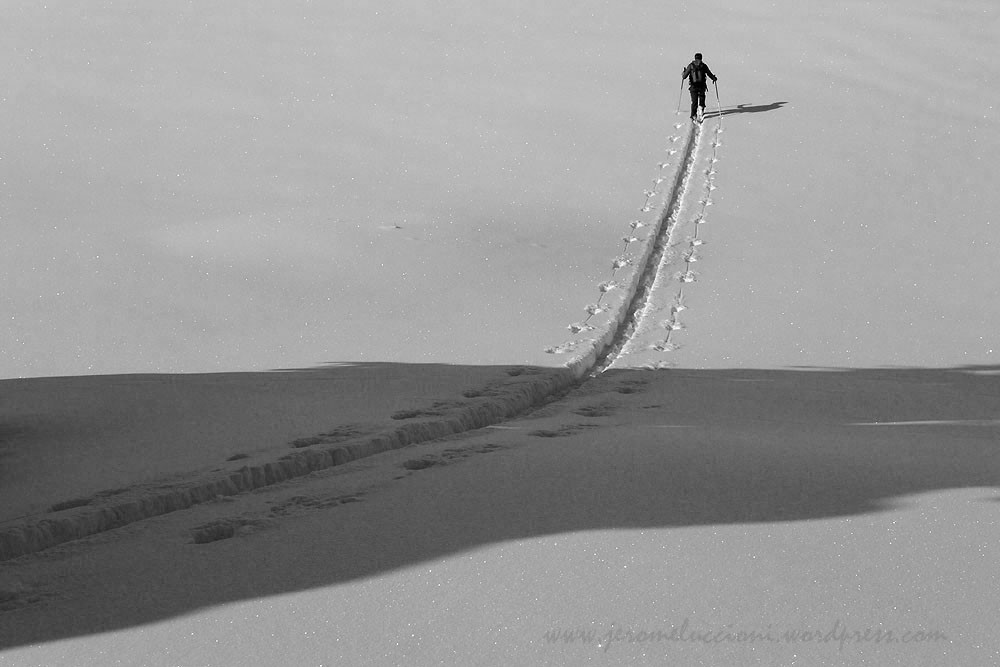 #6 Pat au traçage Pat au traçage