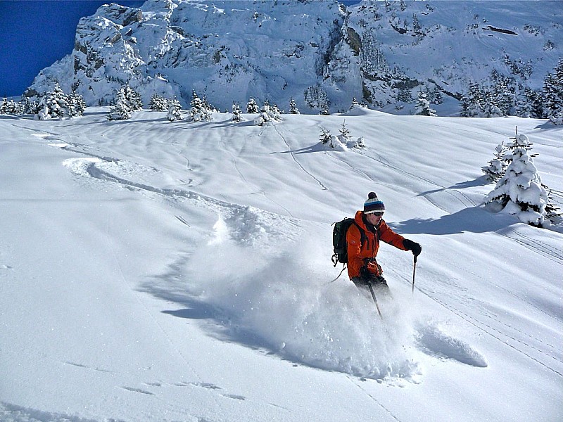 #9 Kayaski : en plein labourage Kayaski : en plein labourage