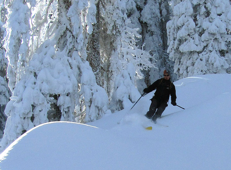 #5 foret : c foret : c'est là qu'est la bonne poudre!!!