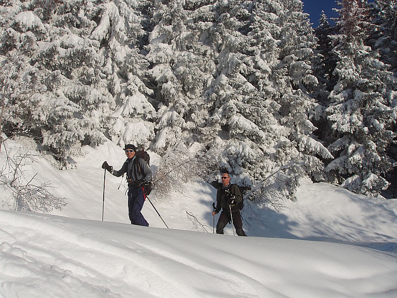 #3 sapins : les sapins sont très chargés et les paysages sont magiques. sapins : les sapins sont très chargés et les paysages sont magiques.