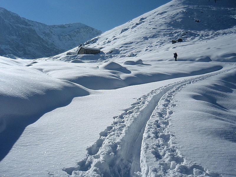 #3 1500 m: on sort des arbres : et c 1500 m: on sort des arbres : et c'est chouette