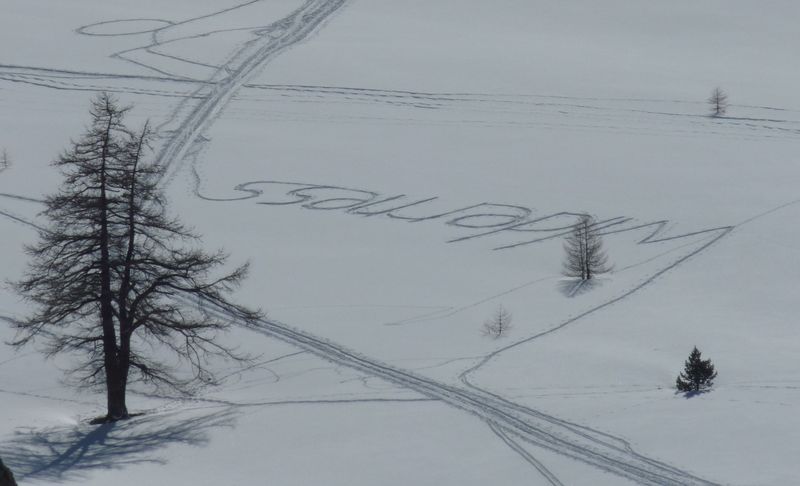 arabesques : on compare souvent le manteau neigeux à une grande page blanche...