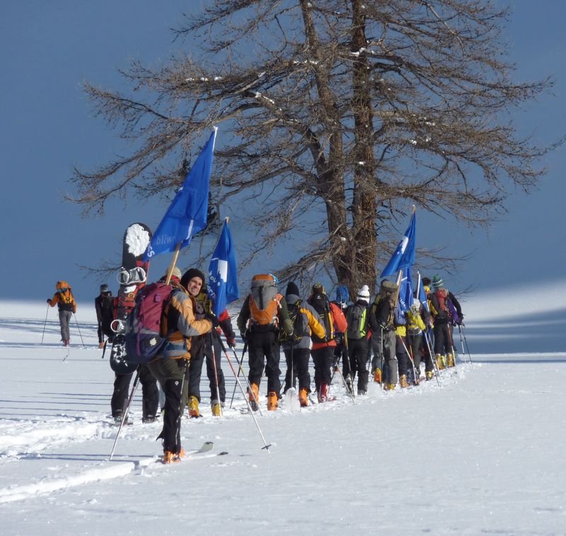 en route pour le col : dernier mélèze