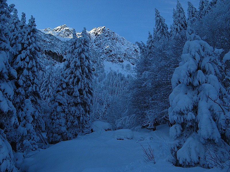 #3 Le Habert du Crop : Beau paysage de rêve au Habert du Crop avec ses sapins bien enneigés, on voie le vallon ensoleillé ou se situe l Le Habert du Crop : Beau paysage de rêve au Habert du Crop avec ses sapins bien enneigés, on voie le vallon ensoleillé ou se situe l'emplacement du Lac du Crop et au fond le col de la Mine de Fer, ce col parait inaccessible!