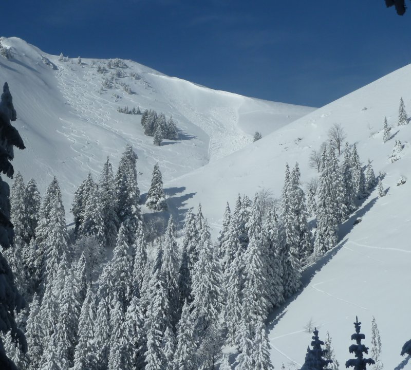 La même : Descente SE du Petit Som dans une neige densifiée par le vent