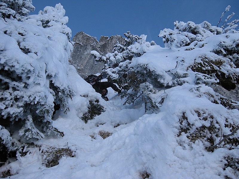 #5 Goulotte dans les sapins. Goulotte dans les sapins.