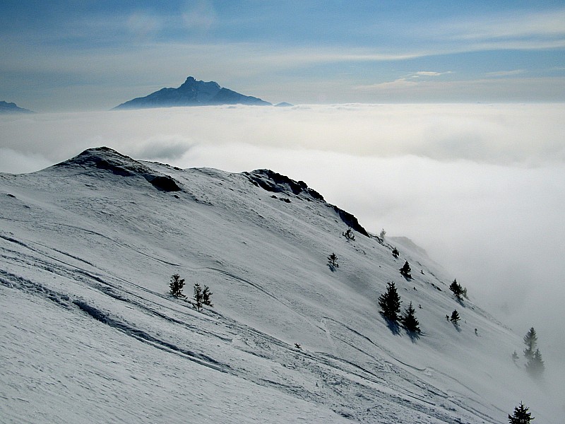 #3 Descente : L Descente : L'obiou au soleil