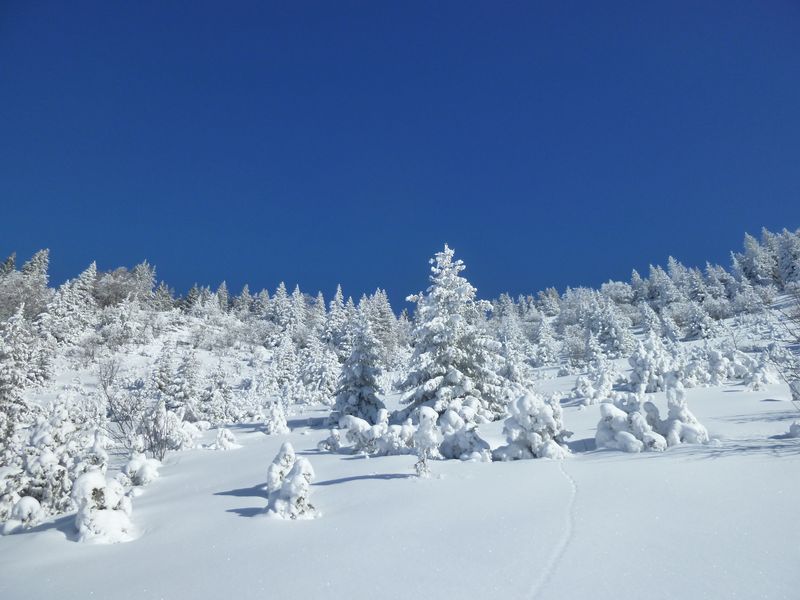 #1 Vallon de Bellecombe : J Vallon de Bellecombe : J'adore!!