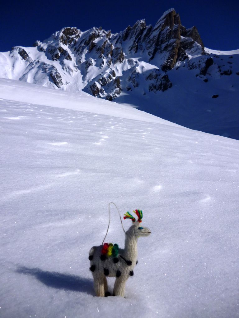 #11 Aiguille du Grand Fond : ALPAGA WAS HERE !!!! Aiguille du Grand Fond : ALPAGA WAS HERE !!!!