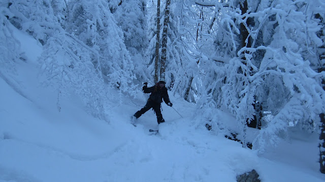 #13 Pas facile ! : Skier en forêt n Pas facile ! : Skier en forêt n'est pas chose aisée