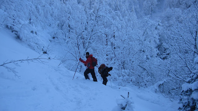 #12 Skier en forêt : De retour à la forêt Skier en forêt : De retour à la forêt