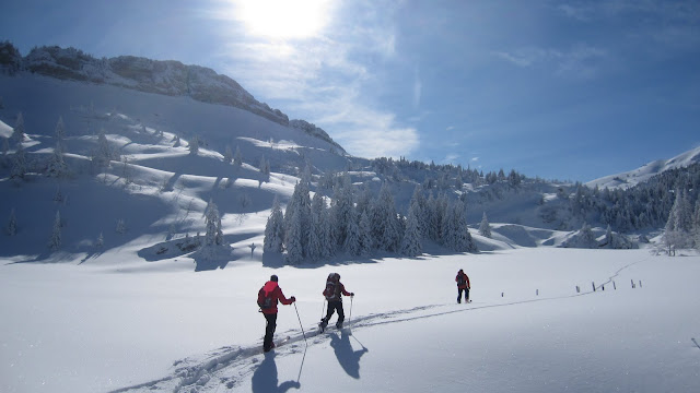 #8 Sortis des arbres : Les paysage de claiseme Sortis des arbres : Les paysage de claiseme