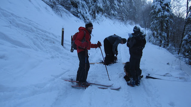 #15 On rechausse ! : Sur la route forestière à 700 m, on remet les skis ! On rechausse ! : Sur la route forestière à 700 m, on remet les skis !