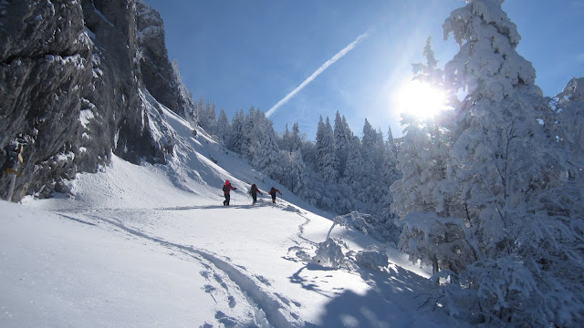 #4 Sorti de la forêt : 1400 m, enfin nous sortons de la forêt Sorti de la forêt : 1400 m, enfin nous sortons de la forêt