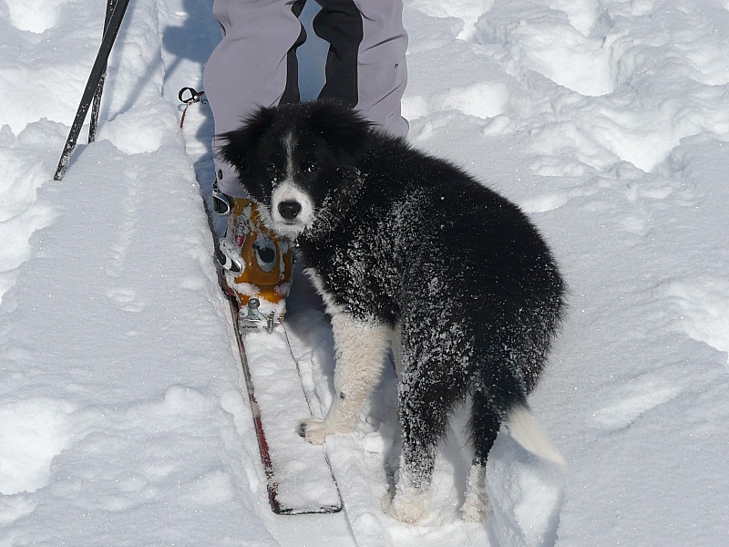 #4 Gaïa : sur les skis c Gaïa : sur les skis c'est plus facile