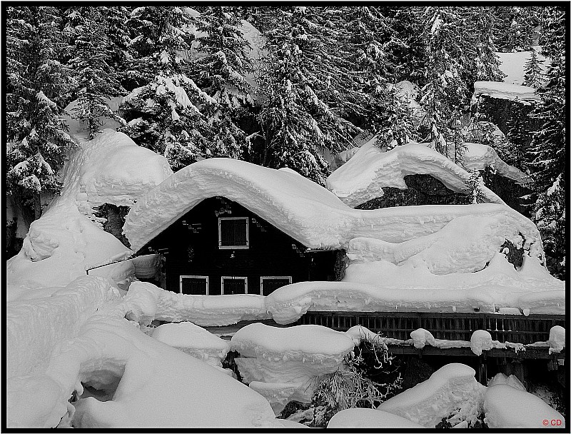 #1 Le chalet de la cascade ... : ... de Bérard Le chalet de la cascade ... : ... de Bérard