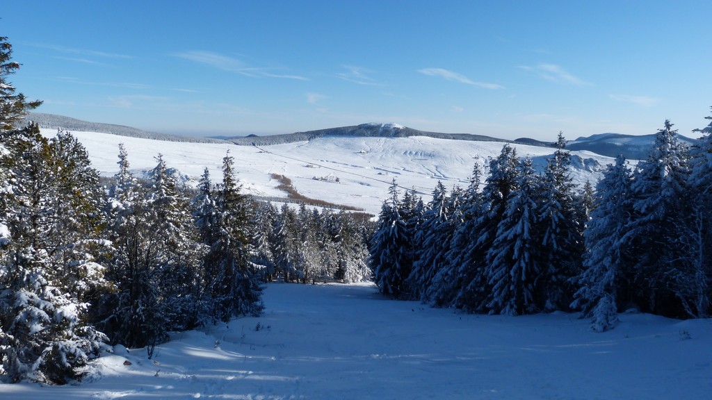 #7 Secteur boisé : Les pistes pourraient être ouvertes Secteur boisé : Les pistes pourraient être ouvertes