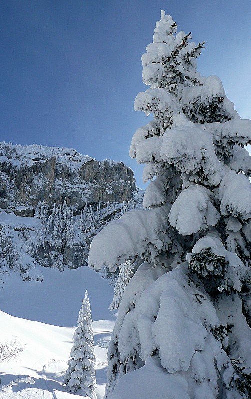 #18 Poudre, rochers, sapins Poudre, rochers, sapins