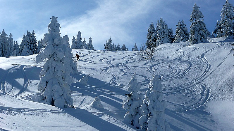 #17 En route vers le couloir ... : ... de Bovinant En route vers le couloir ... : ... de Bovinant