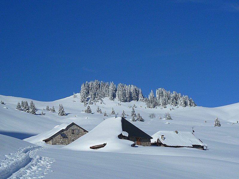 #6 Tour de l Tour de l'Arcalod : Ambiance paisible aux chalets d'Orgeval.