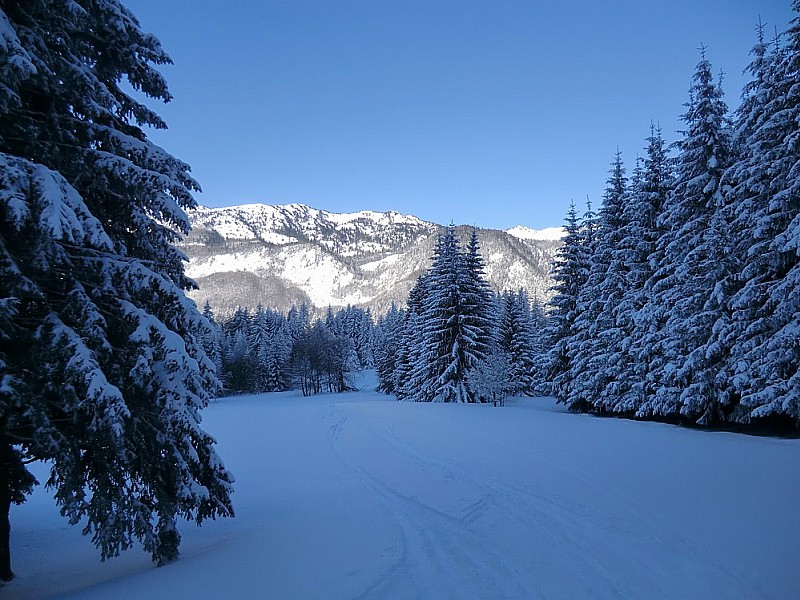 #1 Girieux et la prairie Girieux et la prairie