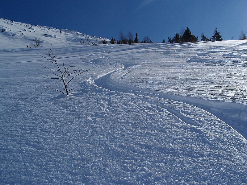 #9 Descente NW- Partie médiane : Neige excellente... Descente NW- Partie médiane : Neige excellente...