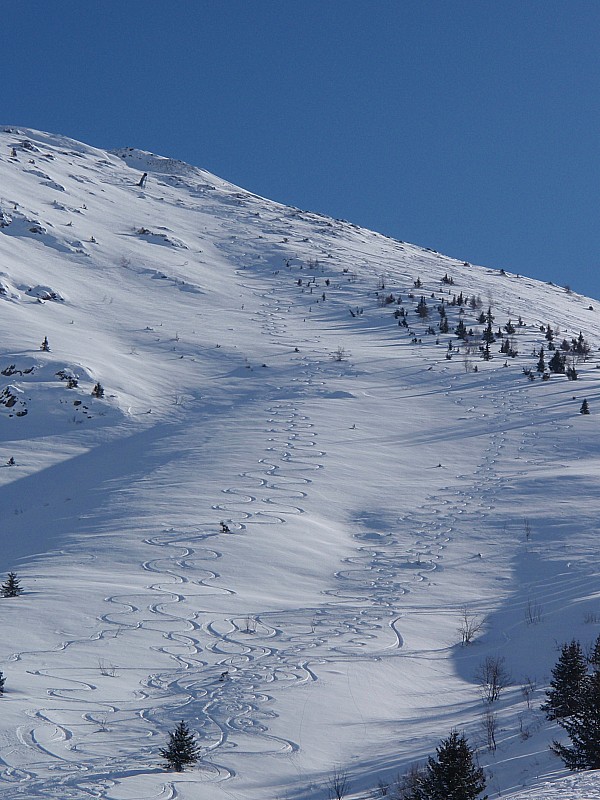 #11 Traces descente NW : Tous ceux qui l Traces descente NW : Tous ceux qui l'ont fait se sont apparemment régalés (en tout cas moi oui!) - et il reste encore un peu de place!