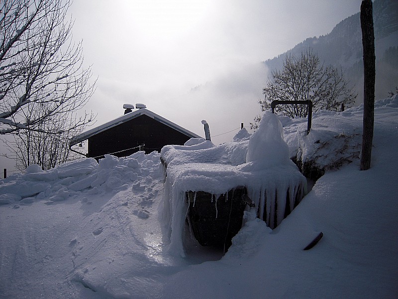 #3 sur cou : ambiance grand froid ! sur cou : ambiance grand froid !