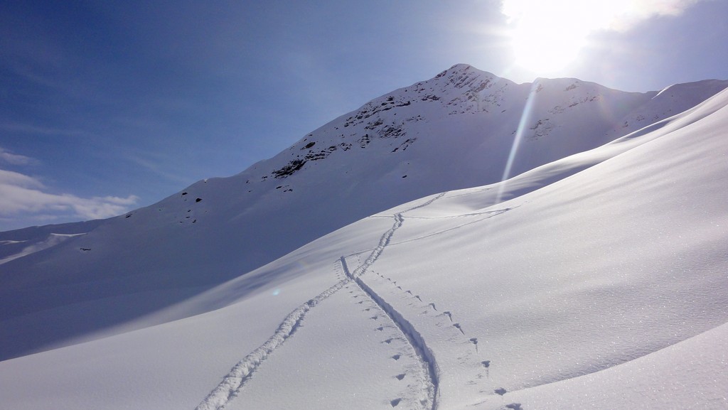 #9 sommet 2295 face Nord : on ira la haut
Croisement trace humaine, trace animale sommet 2295 face Nord : on ira la haut
Croisement trace humaine, trace animale