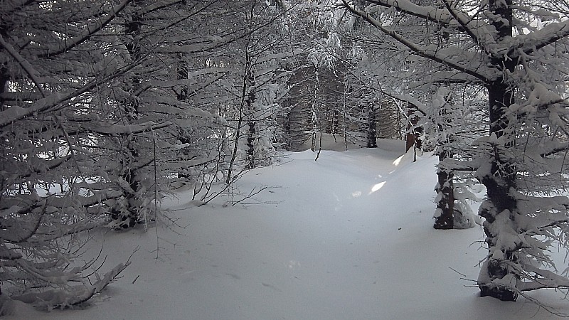 #1 Sur le sentier : Calme et sérenité Sur le sentier : Calme et sérenité