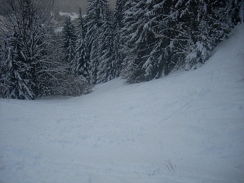 #2 Morbier : beaucoup de traces . c est la dernière photo ensuite plus de piles . Morbier : beaucoup de traces . c est la dernière photo ensuite plus de piles .