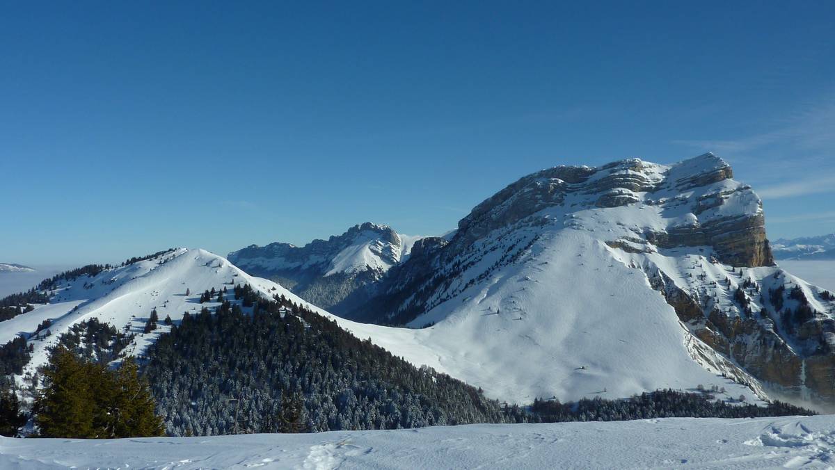 #21 vers le Nord : le givre a quitté les arbres au dessus de 1500m vers le Nord : le givre a quitté les arbres au dessus de 1500m