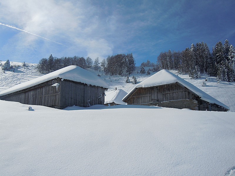 #7 Chalets Bottier : On les voit mieux qu Chalets Bottier : On les voit mieux qu'il y a 10 jours, dans la purée de pois.