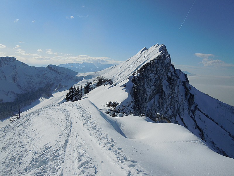 #1 crête Combe aux Chevaux : Vue sur la Dent d crête Combe aux Chevaux : Vue sur la Dent d'Arcluse