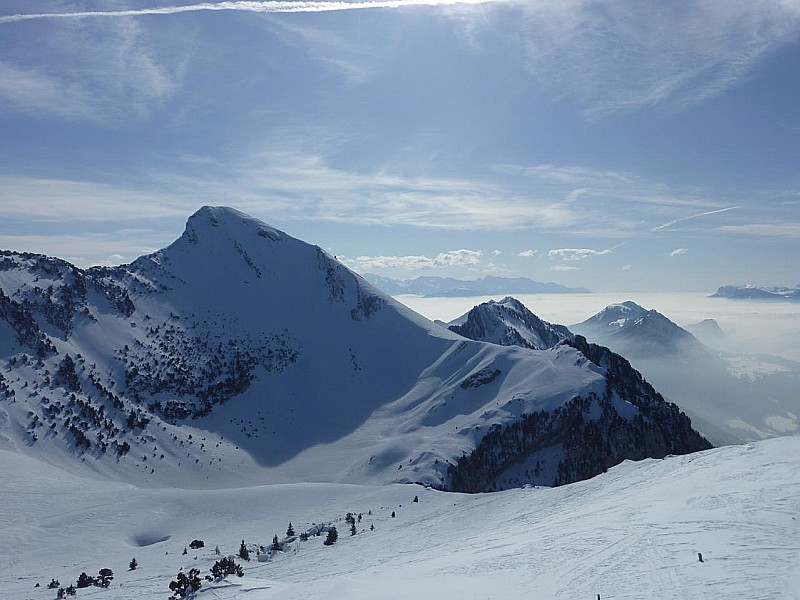 #4 grand colombier : Ce ne sera pas pour aujourd grand colombier : Ce ne sera pas pour aujourd'hui