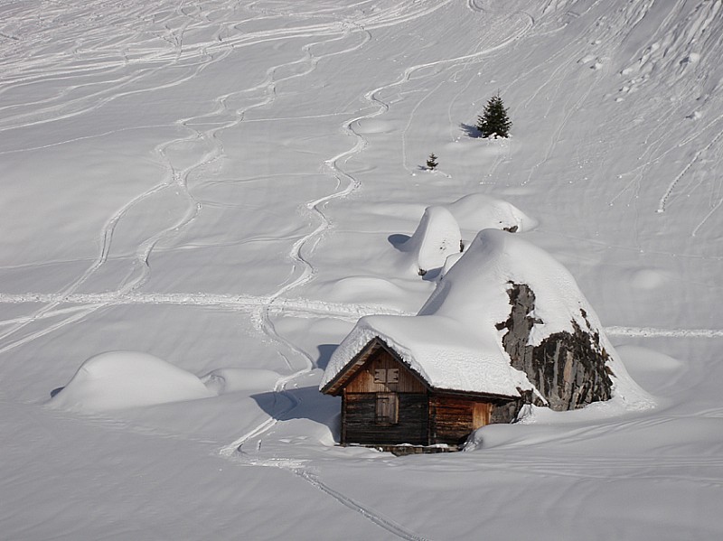 #4 lieu de goûter : neige froide très douce lieu de goûter : neige froide très douce