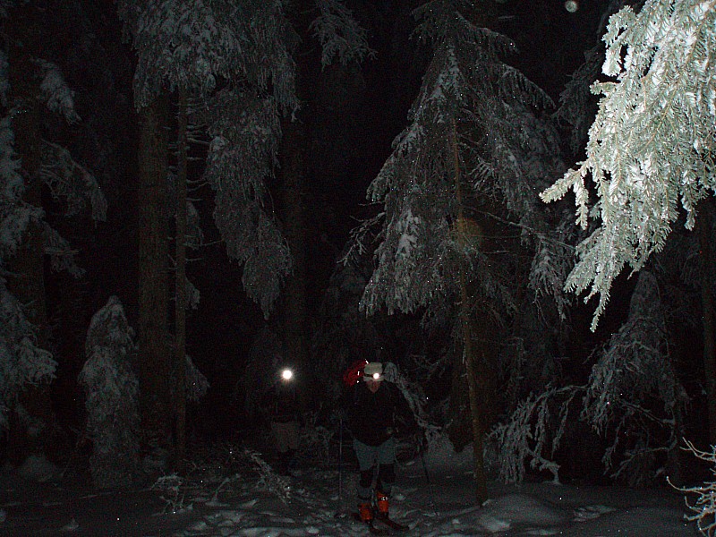Féérie en forêt. : Montée magique en forêt avec la lumière de nos frontales et de la lune faisant miroiter les cristaux de neiges dans les sapins.