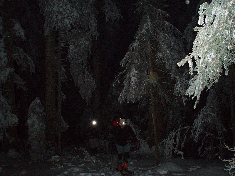 #4 Féérie en forêt. : Montée magique en forêt avec la lumière de nos frontales et de la lune faisant miroiter les cristaux de neiges dans les sapins. Féérie en forêt. : Montée magique en forêt avec la lumière de nos frontales et de la lune faisant miroiter les cristaux de neiges dans les sapins.