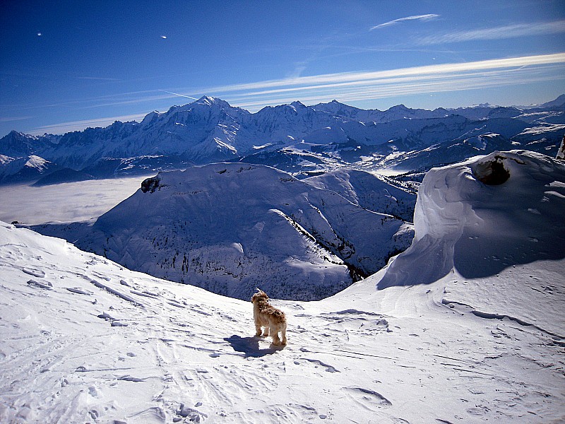 #2 tête pelouse : vue sur croise baulet et mont blanc tête pelouse : vue sur croise baulet et mont blanc