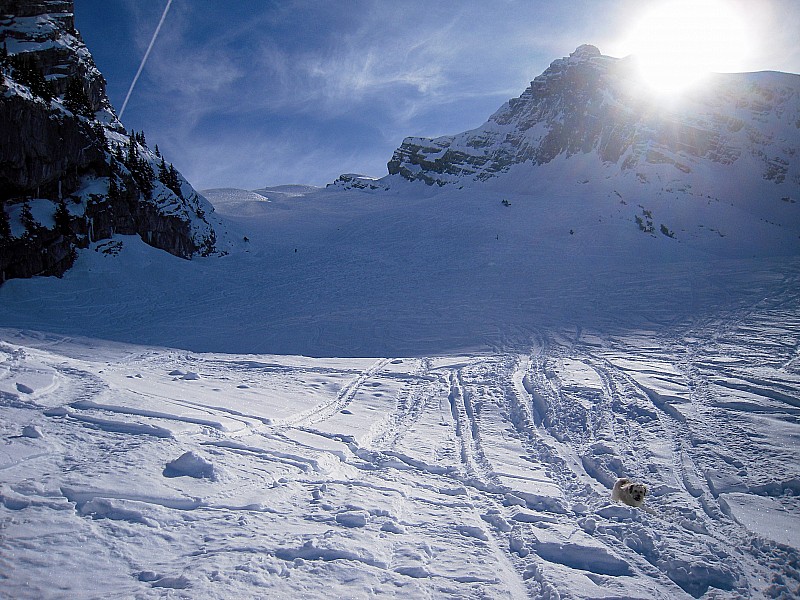 #4 tête pelouse : pas beaucoup de neige vierge ! tête pelouse : pas beaucoup de neige vierge !