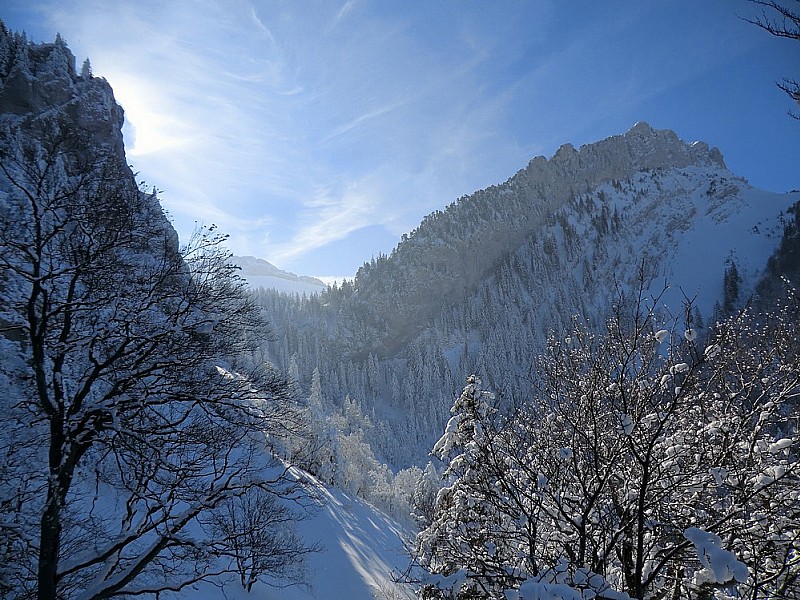 #9 Le Cul de Lampe Le Cul de Lampe