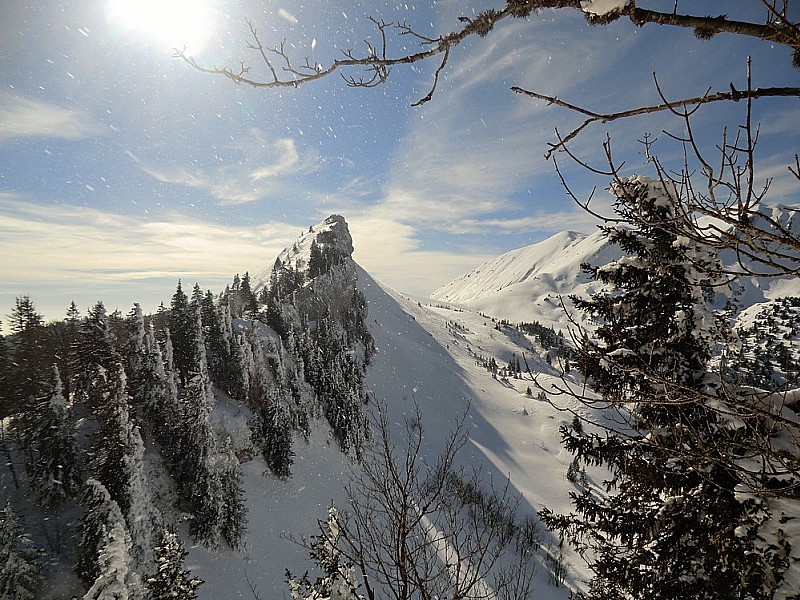 #14 La Grande Vache a de la gueule, vue d La Grande Vache a de la gueule, vue d'ici.