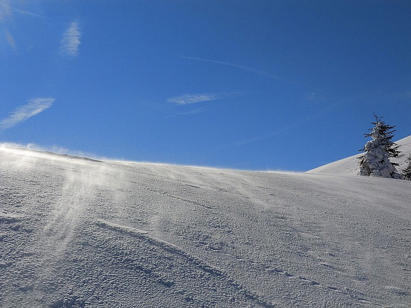 #12 Le vent se lève Le vent se lève