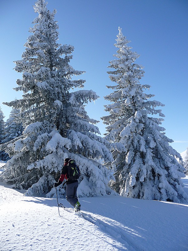 #1 Belle Chartreuse : col de la Charmille Belle Chartreuse : col de la Charmille