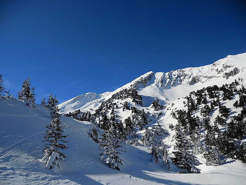 #11 La Sure au fond La Sure au fond