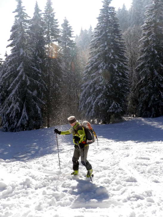 #2 Givre : ça scintille dans la lentille Givre : ça scintille dans la lentille